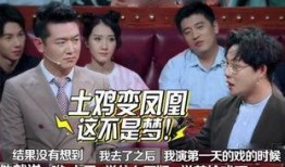 黄新淳刘维圈内爆料,揭秘娱乐圈不为人知的幕后故事